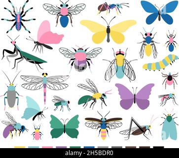 Cartoon Insektenset. Niedliche kleine Kreaturen der Entomologie Wissenschaft, Vektor-Illustration von farbigen Raupen und Schmetterlinge Symbole isoliert auf weißem Hintergrund Stock Vektor
