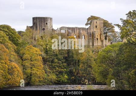 Barnard Castle, Teesdale, County Durham, Großbritannien. November 2021. Wetter in Großbritannien. Farbenfrohe Herbstbäume säumen die Ufer des Flusses Tees mit den imposanten mittelalterlichen Ruinen von Barnard Castle als Hintergrund. Kredit: David Forster/Alamy Live Nachrichten Stockfoto