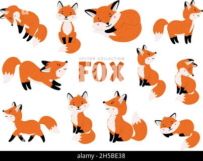 Witziges Fuchs-Set. Cartoon Waldtiere, Säugetiere mit niedlichen Emotionen auf Gesichtern, Vektor-Illustration von orangen Füchsen der Tierwelt um Logo isoliert auf weißem Hintergrund Stock Vektor