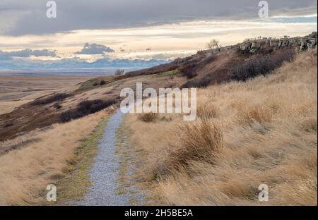 Die Klippen des kopfzertrümmerten Büffels ragen in den Ausläufern der Rocky Mountains in der Nähe von Fort Macleod, Alberta, Kanada Stockfoto