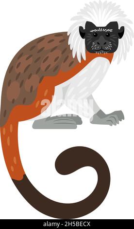 Tamarin-Affe. Cartoon exotische Primat, pelzigen Charakter des Zoos mit weißem Kopf und braunem Schwanz, Vektor-Illustration von Baumwolle Top Tamarin isoliert auf weißem Hintergrund Stock Vektor