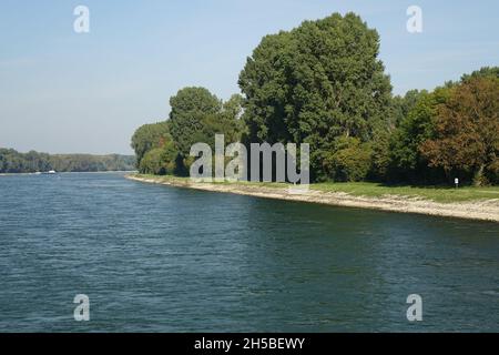 Ostrheinküste vom Fluss aus gesehen an einem kalten und sonnigen Herbsttag, Maxau, Karlsruhe, Baden-Württemberg, Deutschland Stockfoto