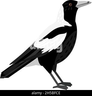 Traditionelle Elster. Cartoon fliegender Vogel, schöner Charakter der Ornithologie, Vektordarstellung der Krähe mit weißen Federn isoliert auf weißem Hintergrund Stock Vektor