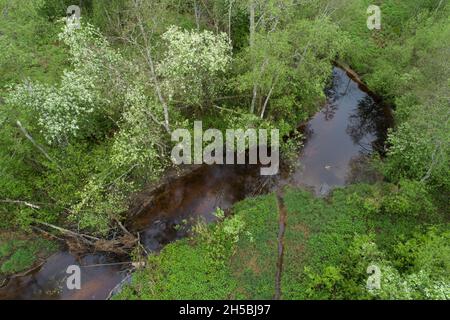 Ein Luftblick auf einen kleinen Fluss, der sich inmitten der grünen Frühlingslandschaft schlängelt. Stockfoto