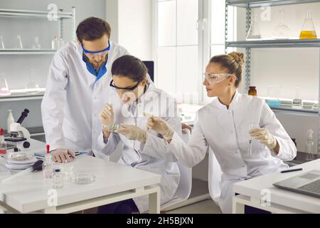 Ein Team von Wissenschaftlern testet Zellproben in einer Petrischale, während sie in einem modernen medizinischen Labor arbeiten. Stockfoto