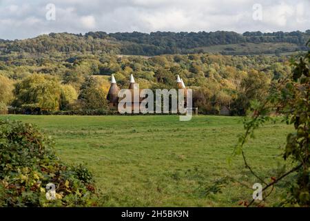 Oast Houses Shoreham Kent, Großbritannien Stockfoto