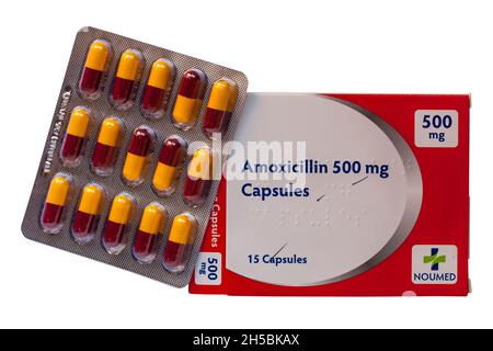 Blisterpackung mit Amoxicillin-Kapseln 500 mg Noumed Antibiotika zur Behandlung einer Reihe von bakteriellen Infektionen - Antibiotika-Kapseln, Antibiotika-Pillen Stockfoto