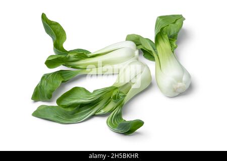 Gruppe von frischen rohen bok choy Nahaufnahme isoliert auf weißem Hintergrund Stockfoto
