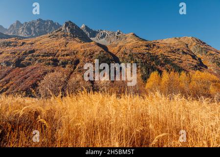 Felsige Berge und herbstliche Bäume auf Klippen. Alpenlandschaft in der Schweiz Stockfoto