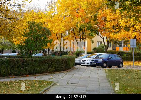Warschau, Polen - 20. Oktober 2021: Die Ahornbäume im Warschauer Wohnbezirk Goclaw wechseln im Herbst ihre Farben von grün zu gelb und rot. Stockfoto