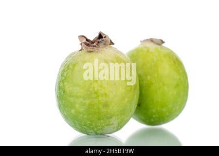 Zwei reife, süße Feijoa-Früchte, aus der Nähe, isoliert auf Weiß. Stockfoto