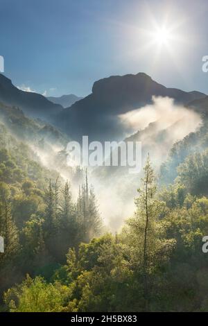 In der Morgensonne auf dem südlichen Peloponnes Griechenlands steigt Nebel aus den Tiefen der Rindomo-Schlucht auf Stockfoto