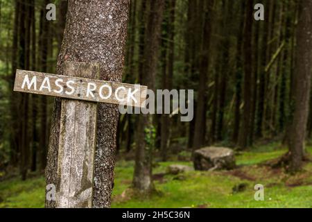 Der Ort eines Massengesteins auf dem Canon Sheehan Loop Walk im Ballyhoura Forest Park, Ballyguyroe North, County Cork, Irland. Stockfoto