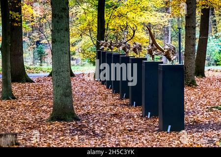 Skulpturengarten hinter dem Kröller-Müller Museum in Otterlo, Niederlande Stockfoto