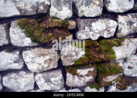 Nahaufnahme der Steinmauern im römischen Fort von Housesteads mit Moos, in der Nähe von Hexham, Northumbria, England, Großbritannien Stockfoto
