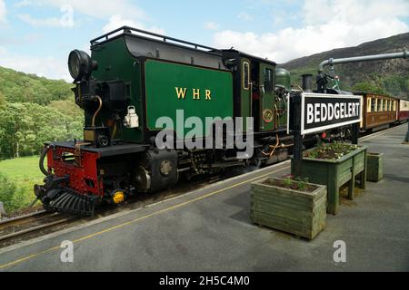 Welsh Highland Railway Ex South African Railways NGG16 Klasse Garratt 147 am Bahnhof Beddgelert Stockfoto