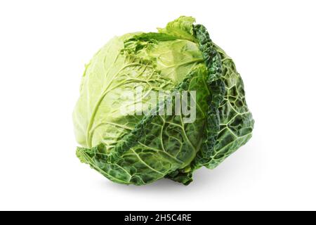 Wirsing Kohl isoliert auf weißem Hintergrund Stockfoto