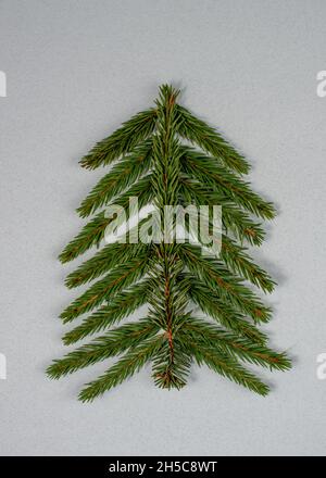 Stilisierter Weihnachtsbaum aus Tannenzweigen auf grauem Hintergrund. Stockfoto