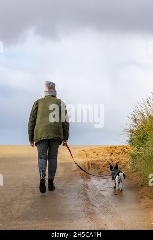 Hündin mittleren Alters, die auf Blei läuft, nähert sich den Sanddünen am Strand bei Heakham im Norden norfolks, Hündin, die auf einem kleinen Hügel mit Terrier läuft Stockfoto