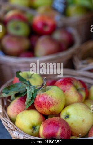 Frische rosig rote saftige Äpfel, frisch gepflückte Äpfel, biologisch angebaute Äpfel, Äpfel in Körben, frische Äpfel auf einem Marktstand. Stockfoto
