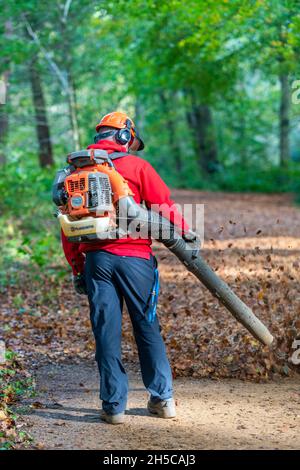 Mann, der Laubbläser im Waldweg für Wanderer, Laubblasmaschine, Benzinbläser, Gartenrodung, Laubweg von Blättern verwendet. Stockfoto