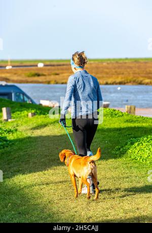 Frau mittleren Alters, die mit Hund läuft, ältere Frau, die mit Hund joggt, beste Freundin des mannes, Frau, die Hund läuft, Frau, die sich mit Hund an der Leine fit hält. Putsch Stockfoto