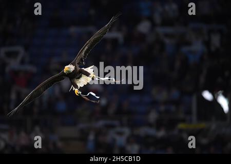 ROM, ITALIEN - 07. NOVEMBER: Lazio's Adler Maskottchen Olimpia fliegt vor der Serie A Spiel zwischen SS Lazio gegen US Salernitana am 07. November 2021 in RO Stockfoto