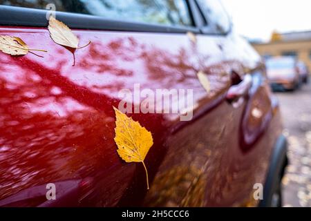 Die Windschutzscheibe des Autos ist mit gelben Herbstblättern bedeckt. Herbstsaison in einer Stadt. Herbstlaub auf einer Autoscheibe Stockfoto