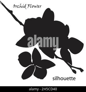 Silhouette Orchidee Blume isoliert auf weißem Hintergrund Stock Vektor