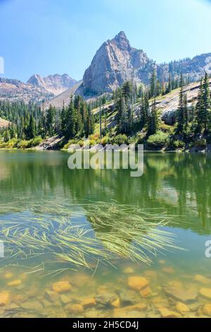 Der majestätische Sundial Peak spiegelt sich auf der Wasseroberfläche des Lake Blanche, Big Cottonwood Canyon, Utah Stockfoto