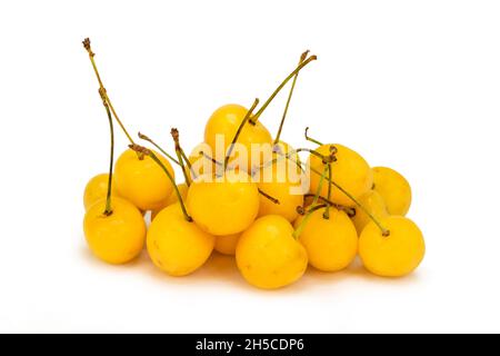 Gelbe Kirschen auf isoliertem weißem Hintergrund Stockfoto
