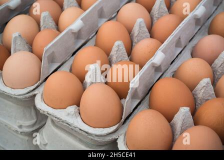 Eier zum Verkauf Stockfoto