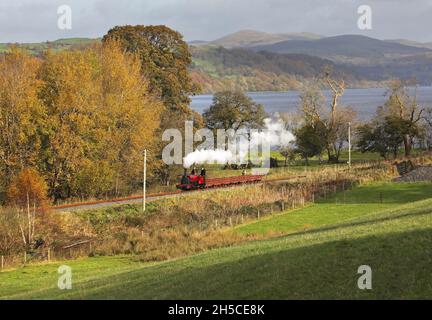 Hunslet 'George B' fährt am 7.11.21 mit einem Schieferzug in Richtung Llanuwchllyn Stockfoto