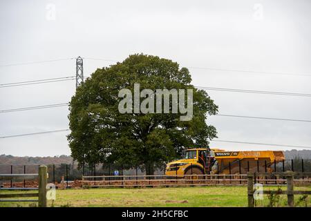 Great Missenden, Großbritannien. November 2021. Eine viel geschätzte einjährige Eiche, die Anfang des Jahres von HS2-Baumschützern besetzt wurde, ist jetzt vom Fällen durch HS2 auf ihrem Leather Lane-Gelände bedroht. Der Baum wurde von HS2 abgesperrt und sollte bleiben, aber dem Vernehmen nach könnte HS2 nun planen, ihn zu Fällen, damit er bizarr durch einen Bereich mit Landschaftsbau und Baumknödeln ersetzt werden kann. HS2 hat bereits eine Reihe von Bäumen in der Leather Lane gefällt und weitere sollen von ihnen gefällt werden. Credit: Maureen McLean/Alamy Live News Stockfoto