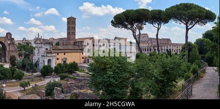 Blick vom Palatin auf den Titusbogen und das Kolosseum durch Pinien, Rom, Italien Stockfoto