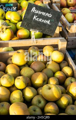 Kartons mit Aschmeads Kernel, die Äpfel essen, können in einem Norfolk-Farmladen verkauft werden. Stockfoto