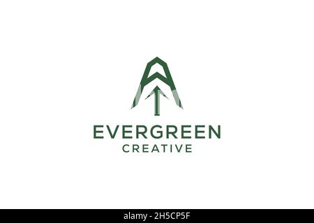 Schreiben Sie Eine Kiefer immergrün. Tanne hemlock Fichte Nadelbaum Zeder Nadellärche pinus Baum Wald vintage retro Hipster Linie Kunst Logo Stock Vektor