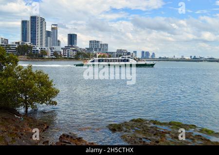 Die Rivercat gleitet entlang des Parramatta River in der Nähe von Ryde in Sydney Stockfoto