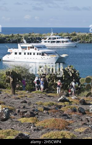 Ausflugsboote in einer Bucht und Touristen auf Isla Plaza, Ecuador, Galapagos, Isla Plaza Stockfoto