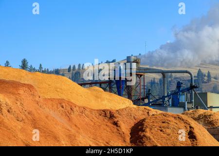 Stapel von Hackschnitzeln, die zu Holzpellets hergestellt werden, sind ein Nebenprodukt der Holzindustrie und eine nachwachsende Ressource. Stockfoto