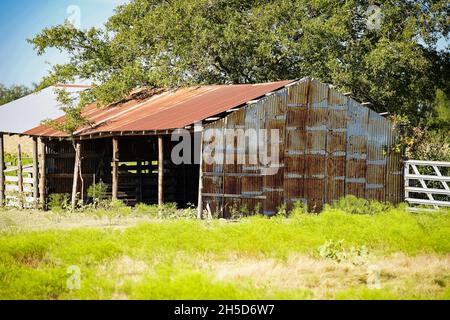 Alte verfallene Scheune in Texas mit Rusty Tin Stockfoto