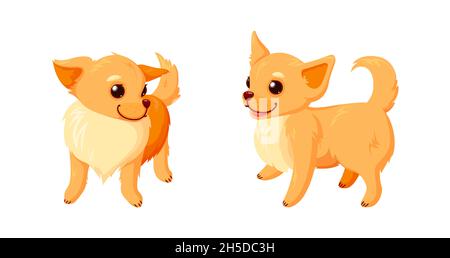 Verspielte chihuahua Hunde. Chihuahua Welpen mit lockigen Schwänzen isoliert auf weißem Hintergrund. Vektor-Illustration in niedlichen Cartoon-Stil Stock Vektor