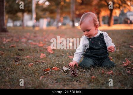 Niedlicher kleiner Junge kniet auf dem Gras in einem Park Stockfoto