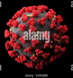 Visualisierung des SARS-CoV-2-Virus (COVID19). Illustration des Coronavirus-Erregers unter dem Mikroskop. Isoliert auf schwarzem Hintergrund. 3d-rende Stockfoto