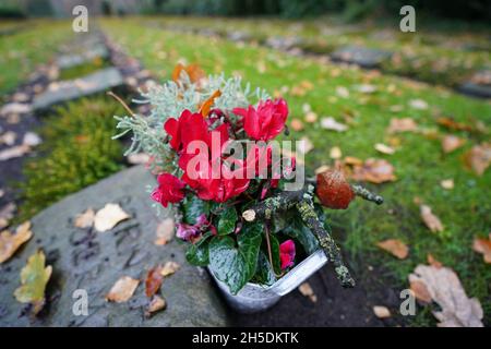 Hamburg, Deutschland. November 2021. Kriegsgräber sind auf dem Ohlsdorfer Friedhof zu sehen. Kredit: Marcus Brandt/dpa/Alamy Live Nachrichten Stockfoto
