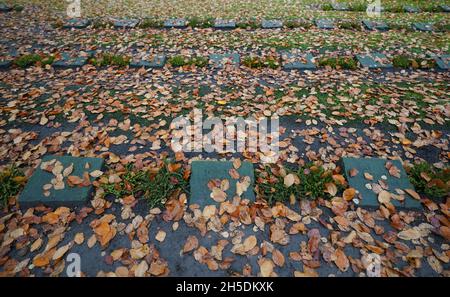 Hamburg, Deutschland. November 2021. Kriegsgräber sind auf dem Ohlsdorfer Friedhof zu sehen. Kredit: Marcus Brandt/dpa/Alamy Live Nachrichten Stockfoto