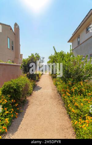 Schotterweg inmitten von Sträuchern und Büschen mit gelben Blüten in San Diego, Kalifornien Stockfoto