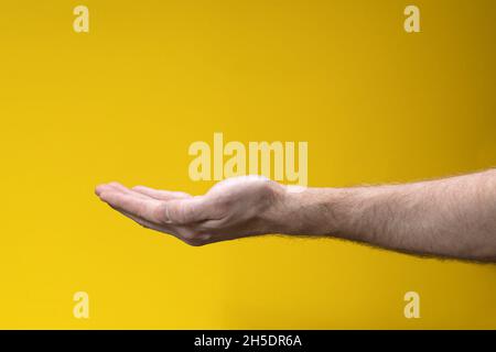 Ausgestreckte leere Schröpfhand, Handfläche nach oben auf gelbem Hintergrund. Geste des Bittens oder Gebens., ausgestreckte leere, kuppelte Hand, Handfläche auf gelbem Rücken Stockfoto