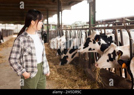 Lächelnd junge weibliche professionelle Farmerin in der Nähe von Kühen auf dem Bauernhof Stockfoto