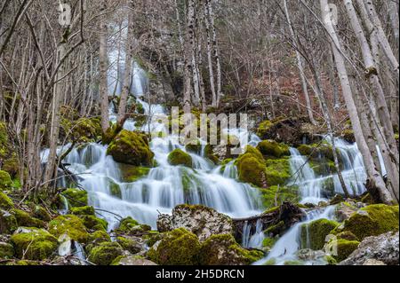 Kleine Wasserfälle, die über moosbedeckten Felsen laufen Stockfoto